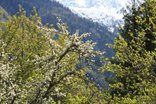 Paysage