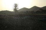 Paysage